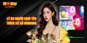 Lý Do Người Chơi Yêu Thích Xổ Số Nohu666 Là Gì?